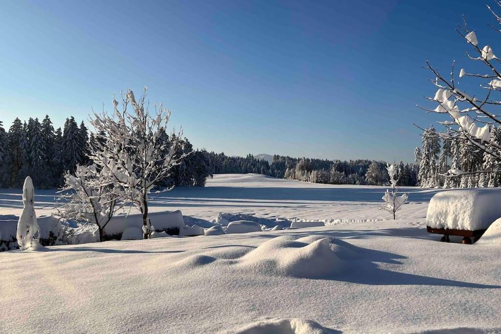 Allgaeuhaus Thomas Am Bauernhof Ferienwohnung Wald  ภายนอก รูปภาพ